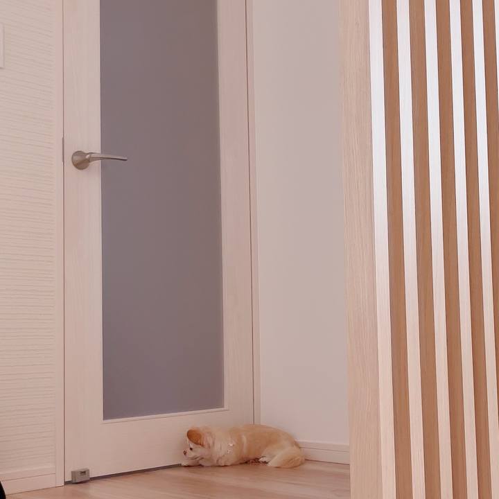 191cb806 7f13 456b 8d2d f82c70c7d108 1686458552099