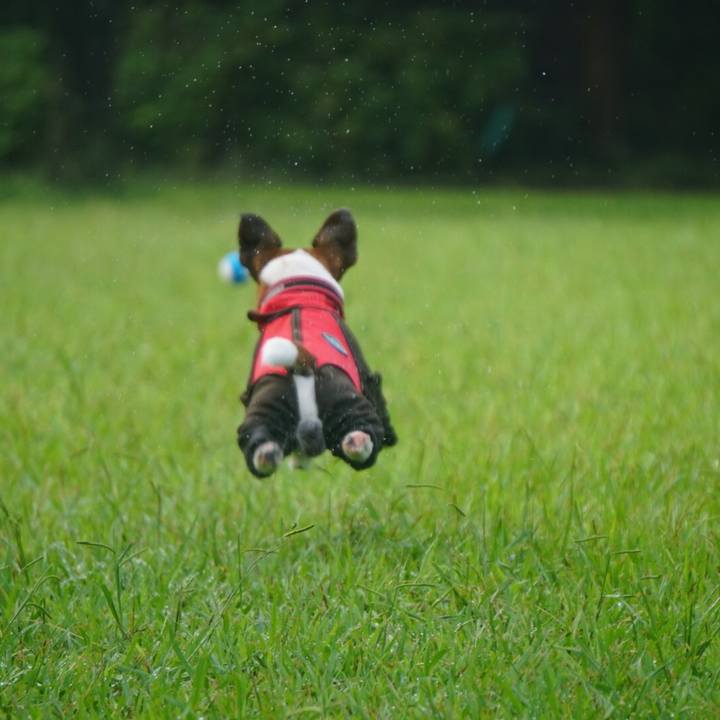 191cf979 9605 4792 92ea 7b130cd550cf 1537227285311