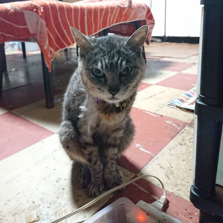 191cfc12 c170 407c 8e48 c910fde4da6a 1591903256712