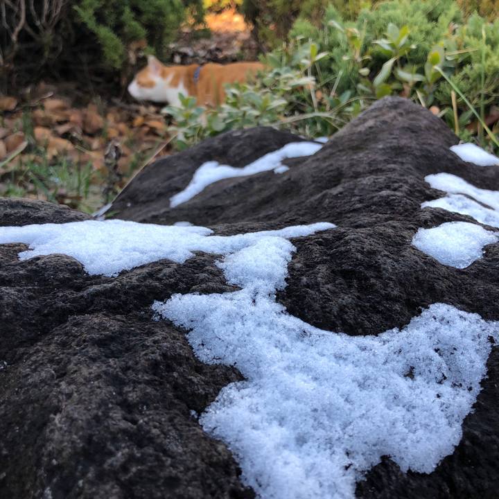 191d02ef 7dab 4b86 b2c4 5b5e59012a95 1544408432468