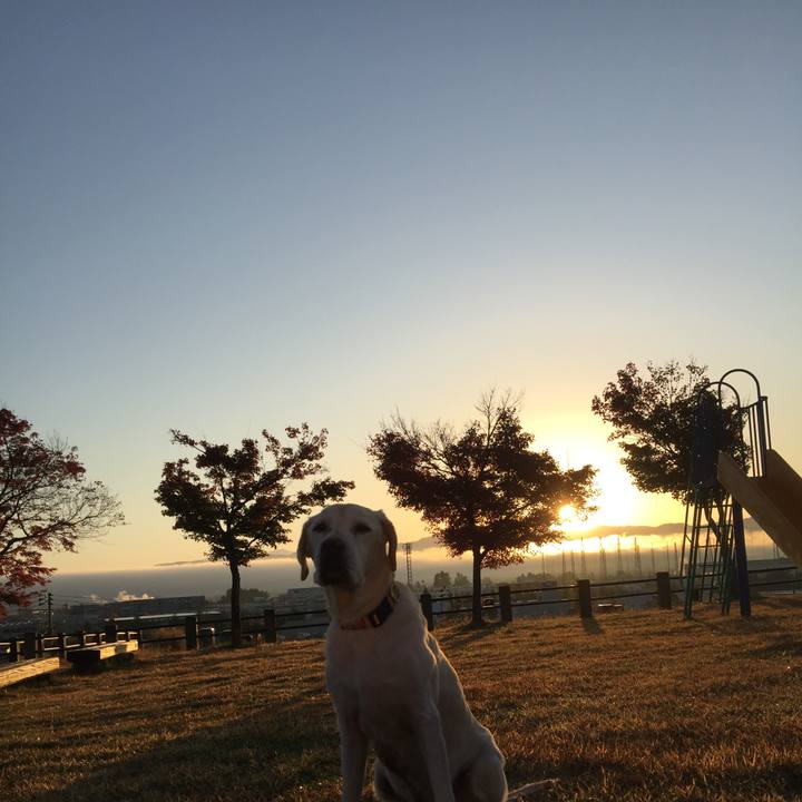 191d535e 00fb 45fe 9de4 e5871479c33f 1510545090610