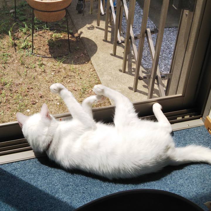 191d7aaa 9301 439b 9ddd 6e9dc6d2ccd1 1627263343598