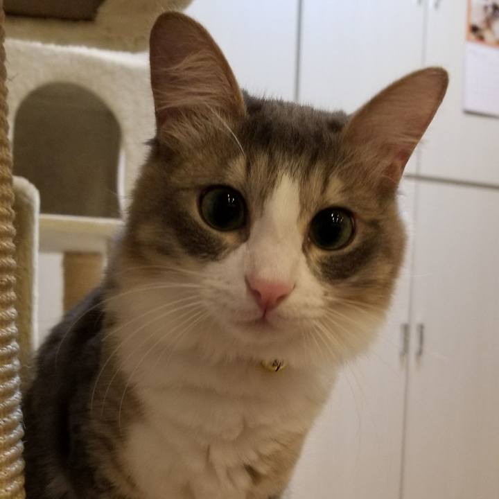 191d9e54 31a1 4240 975b aea711462d0c 1516806012565