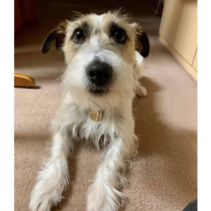 191df5d4 04d7 4905 ae5c 753b7ed4276e 1645190730002