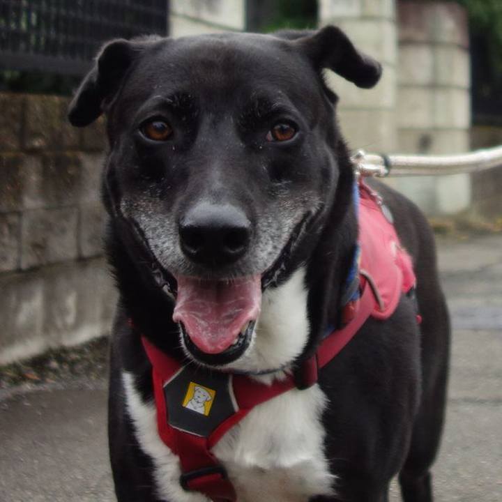 191e1f50 1242 4f3a a4b4 c70f26d62121 1687480629071