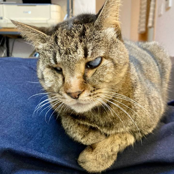 191e2001 a389 42bc a3c1 4f4103f4f32a 1641035931796