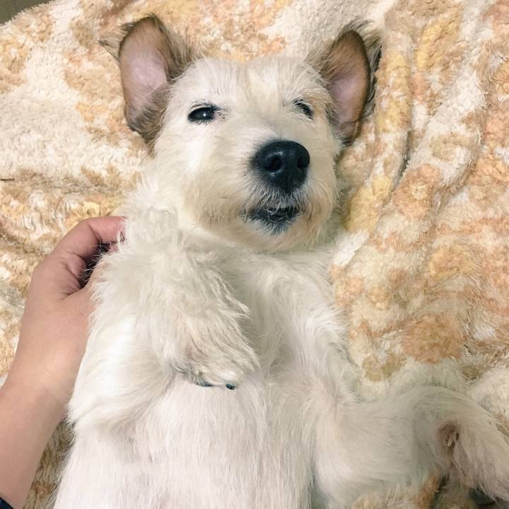 191e50b8 327c 45af 82a6 b4c246f61b7d 1542016780430