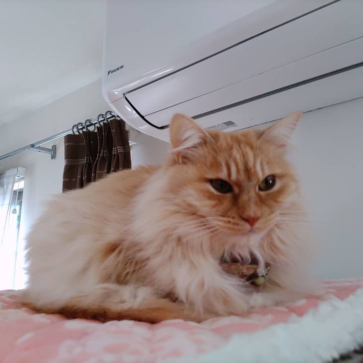 191e6333 872f 433a b919 e05b43338b3d 1708745635328