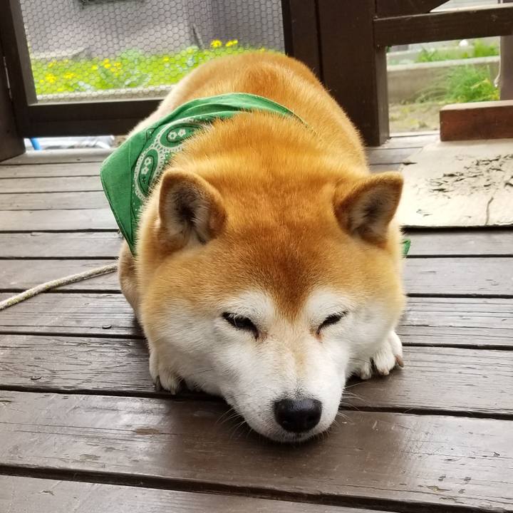 191e63bf b602 420b b22f b654b040f14d 1557790115122