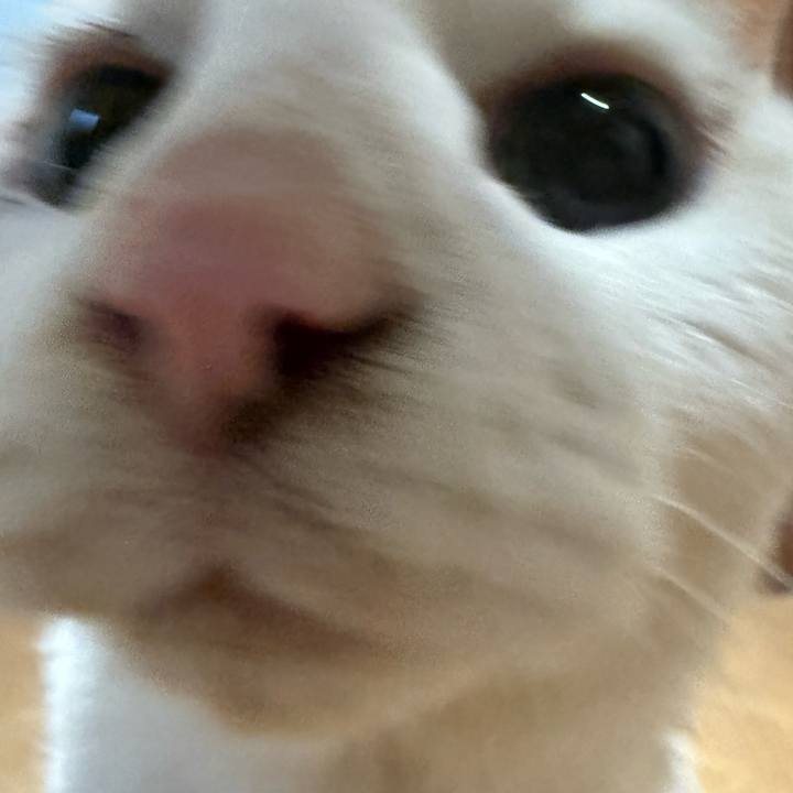 191e8997 4ec7 42f0 a69a 2b61594a7dee 1770429794057