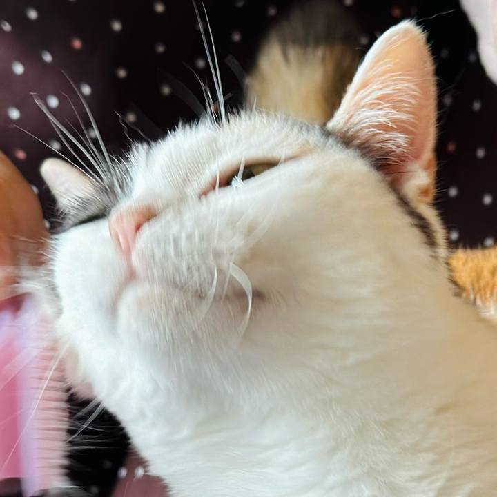 191e93d9 d0db 455b 9871 a0aff12de451 1718673182319