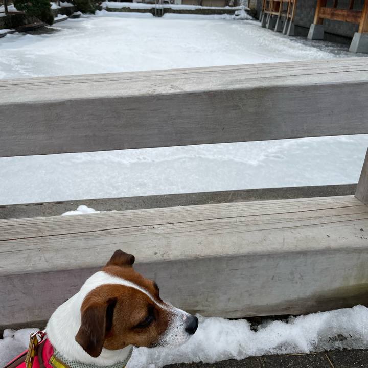 191ec0cb 072a 466d a225 c2d2eaa2532a 1644730482875