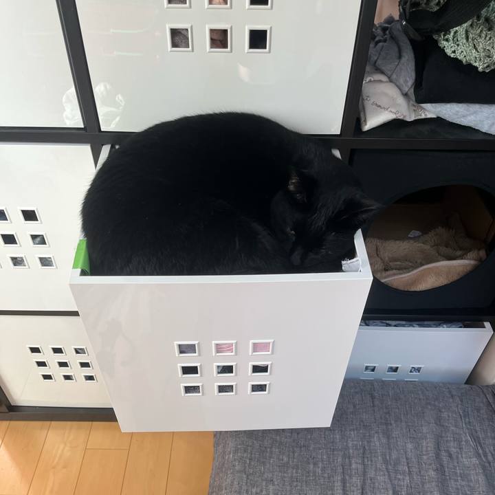 191eda75 9868 45a2 908a 6c9e71a42398 1727826750028