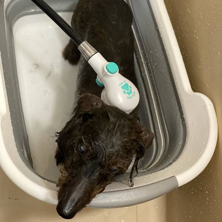 191ef647 7a63 4c80 bf62 a2be4df8fd38 1644681318054