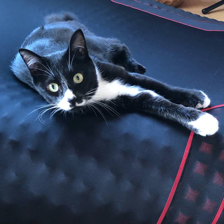 191f2b62 303a 47de a085 14a53ba2430e 1598244964228