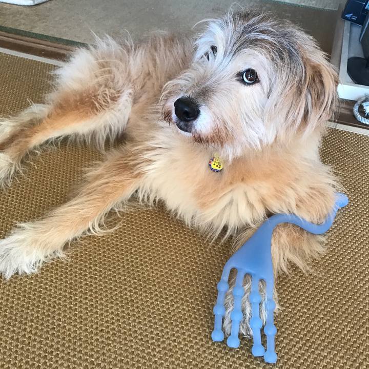 191f2e40 727a 4c4b 9d26 986a821c2e79 1573871912548