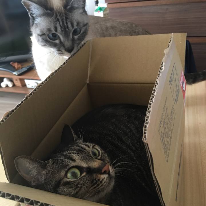 191f33ce c8c1 4396 ae4d d2c3e2deb25f 1586308797976