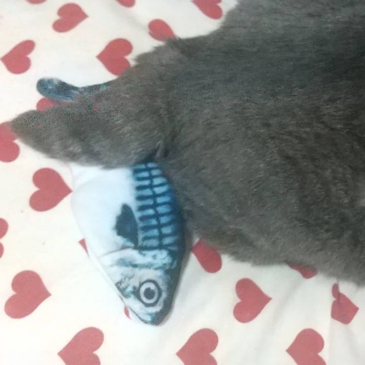 191fb25a 8e33 403f 9e8e 285ca2732087 1658763032259