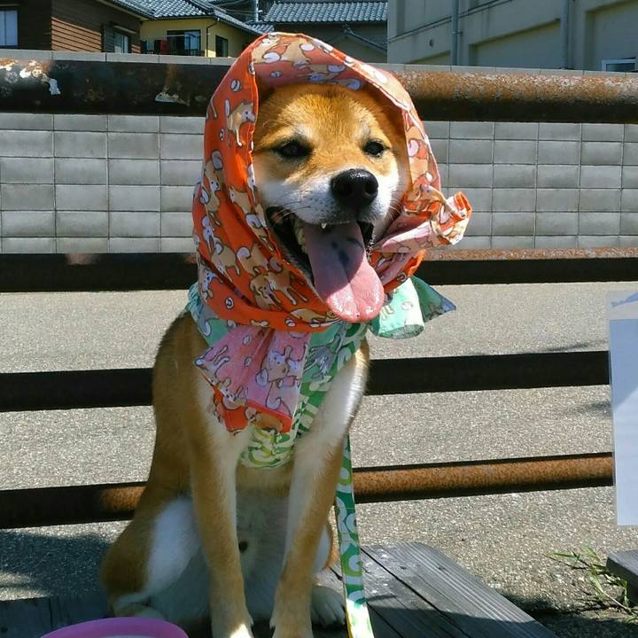 19200b96 5292 44e3 b8ac 40c2fe329b46 1521089163126