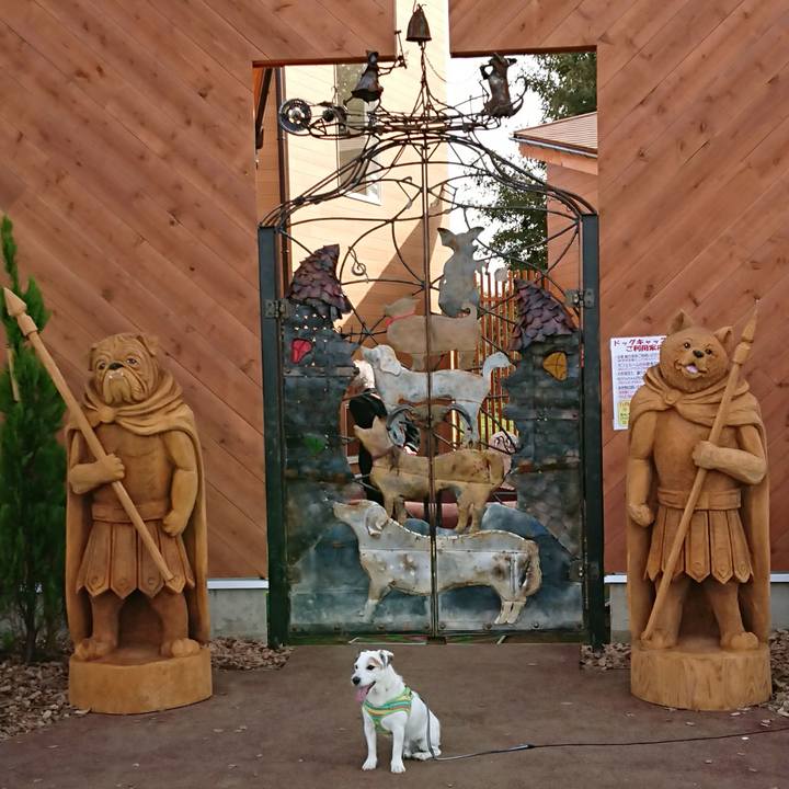 1920179b cfba 4ad2 8b86 d68430a184b4 1542536335063