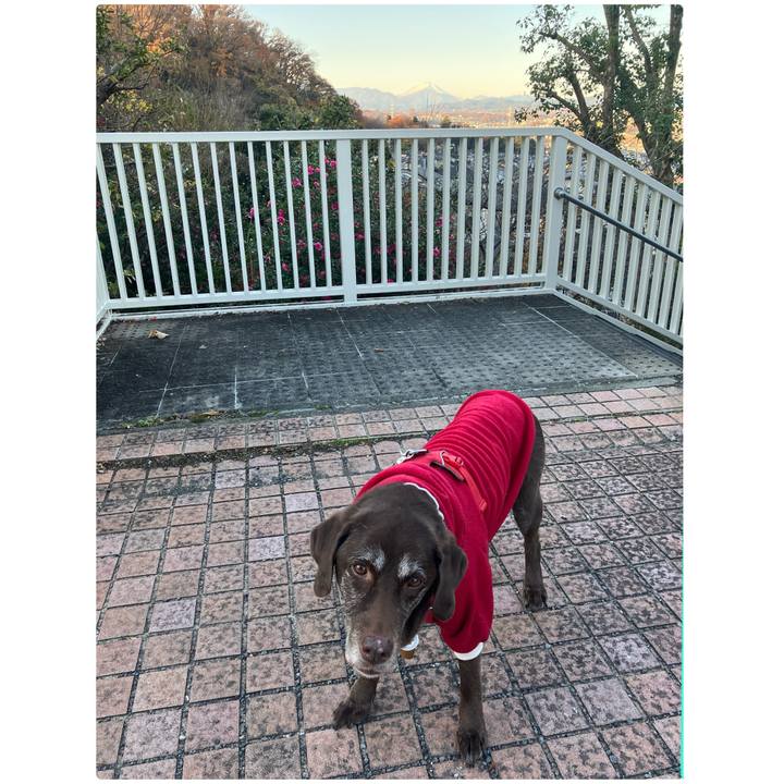 19206272 e4d1 4857 9b37 0a43d5116b3e 1765339581633