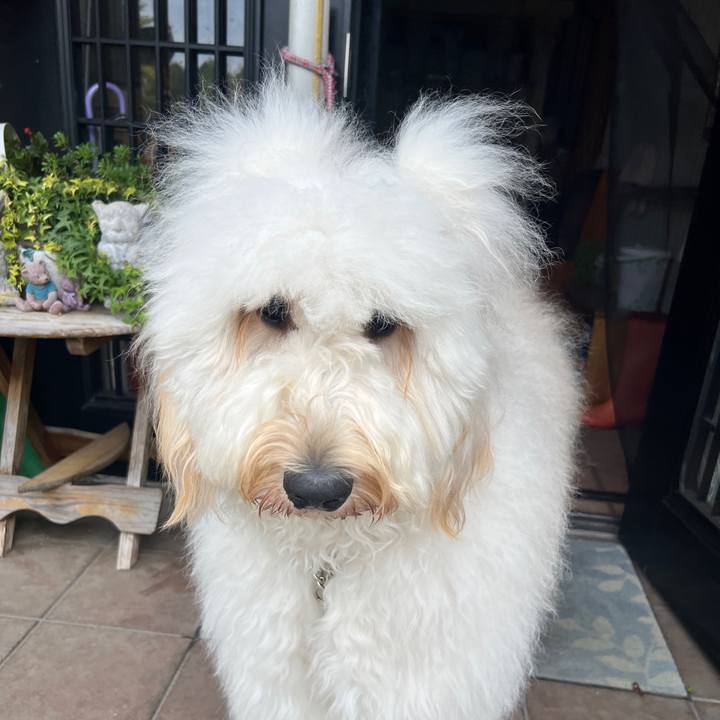 1920a864 ee3e 4098 ba4e bf84585724b1 1747539498030