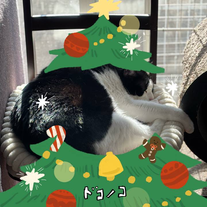 1920afa7 06e6 40cd b59b e5ebfabf5f75 1763689547565