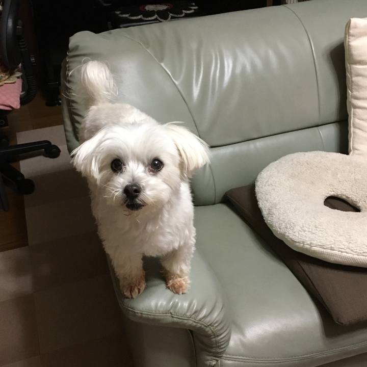 1920bca5 d6ab 4688 971f e7c454d7fb0e 1588245383524