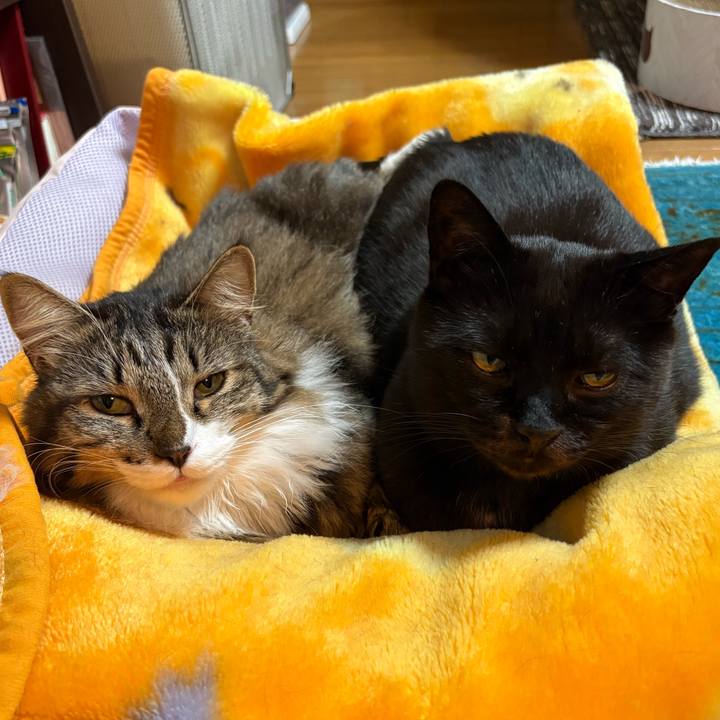 1920c0cd 91b6 4d67 b605 aad099a07e75 1763704158890