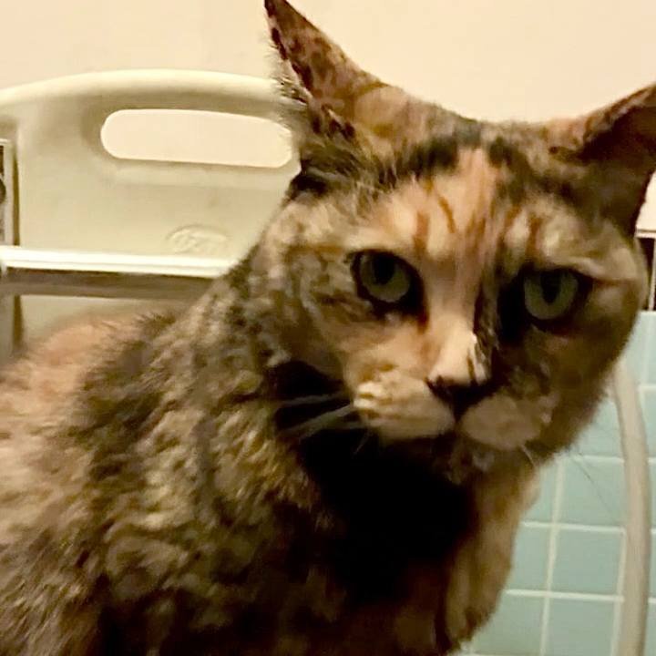 1921001f e684 44f0 9588 957dfb5ca269 1745782283750