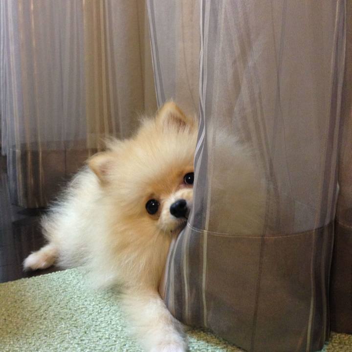 192100f8 3277 4b96 b09b fc8fb50af23a 1760095374173