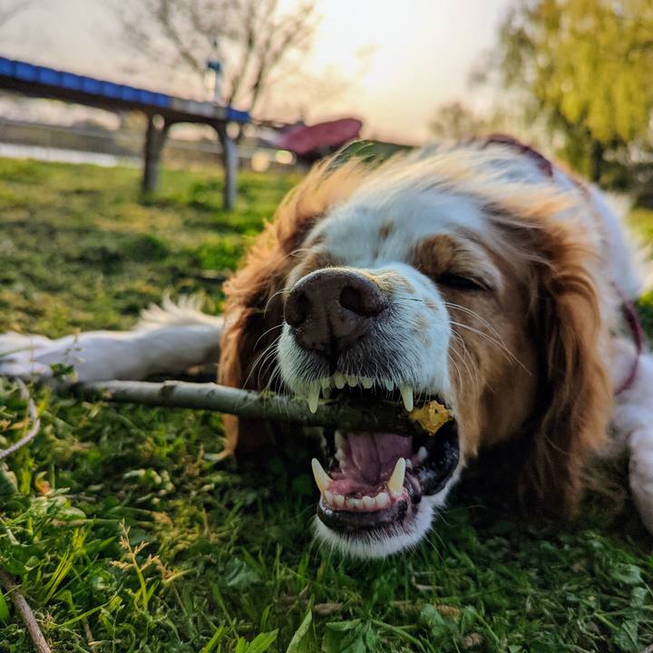 19210197 b661 4cee beba 3602ca084640 1665196019539