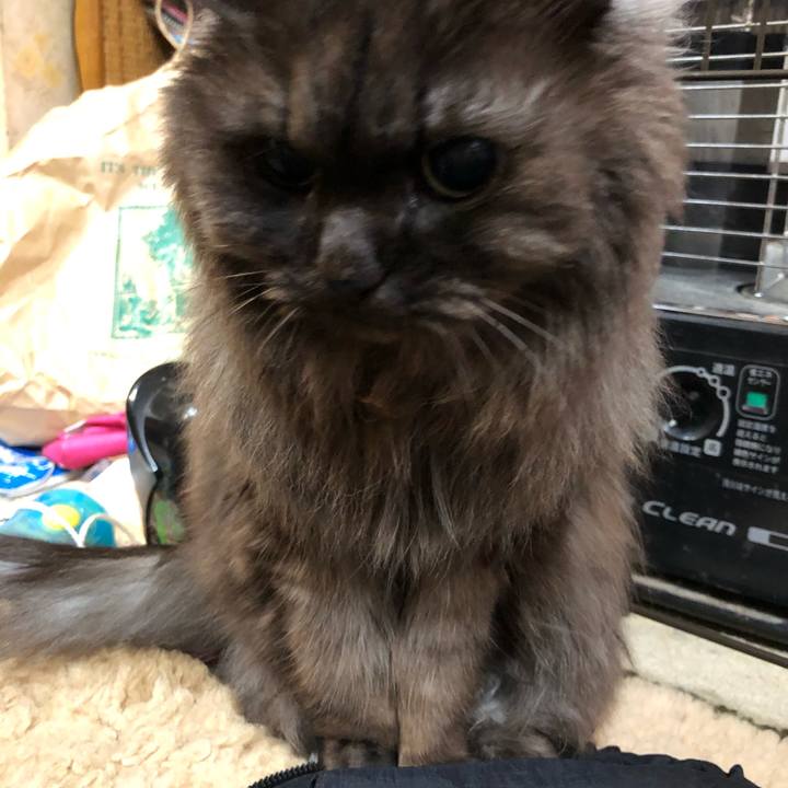 192103fd a049 468b 8543 67a78ec69e4a 1553206664093