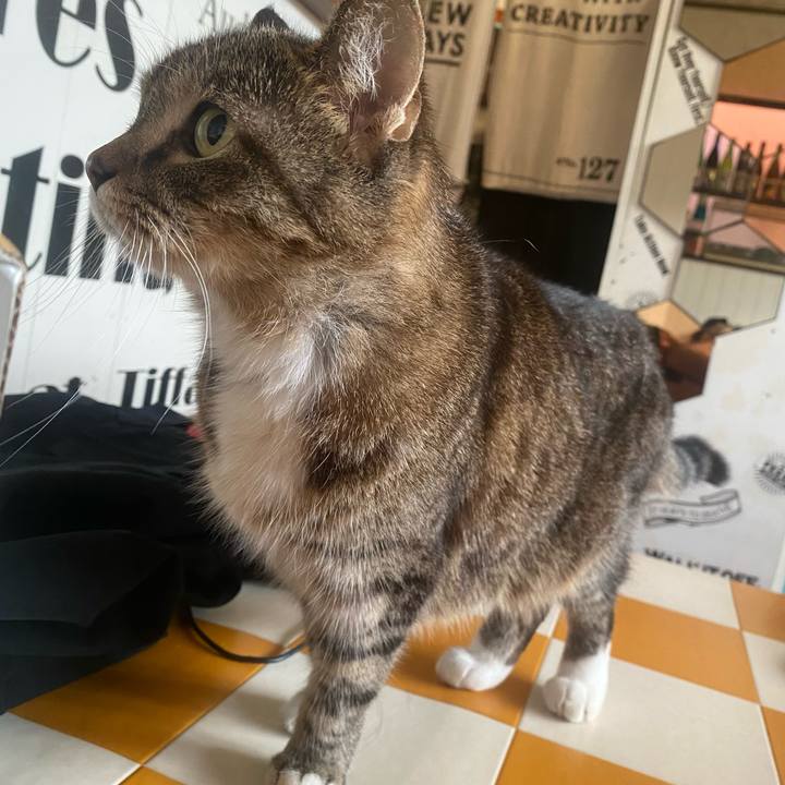 1921194e ea94 4dc1 ab9e 02d587dec590 1759012184650