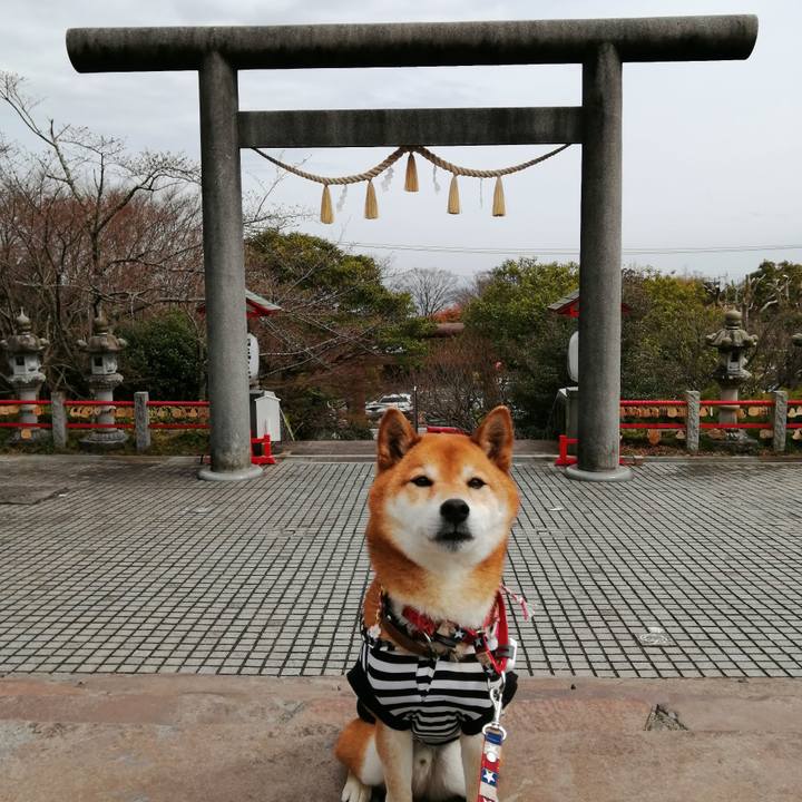 19213163 76b9 442a 99c6 4af98336756b 1647933251429