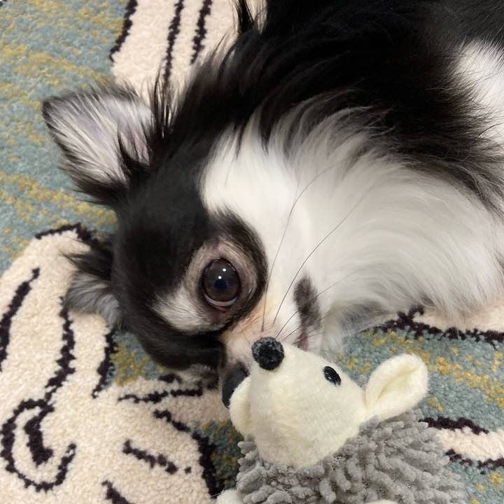 19218923 a826 4bdd b270 f758b714a500 1625375844962