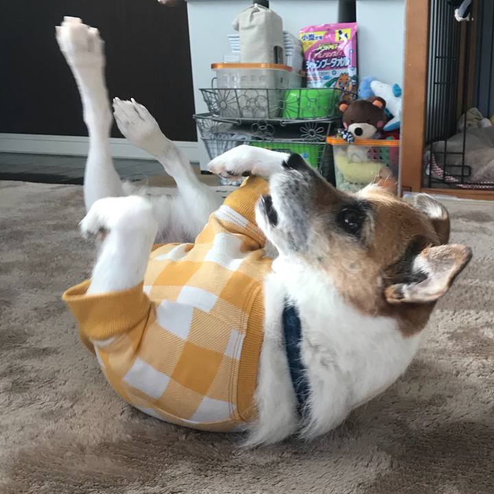 19218c82 e25a 43ce 9370 6a9107b9226e 1523840799828