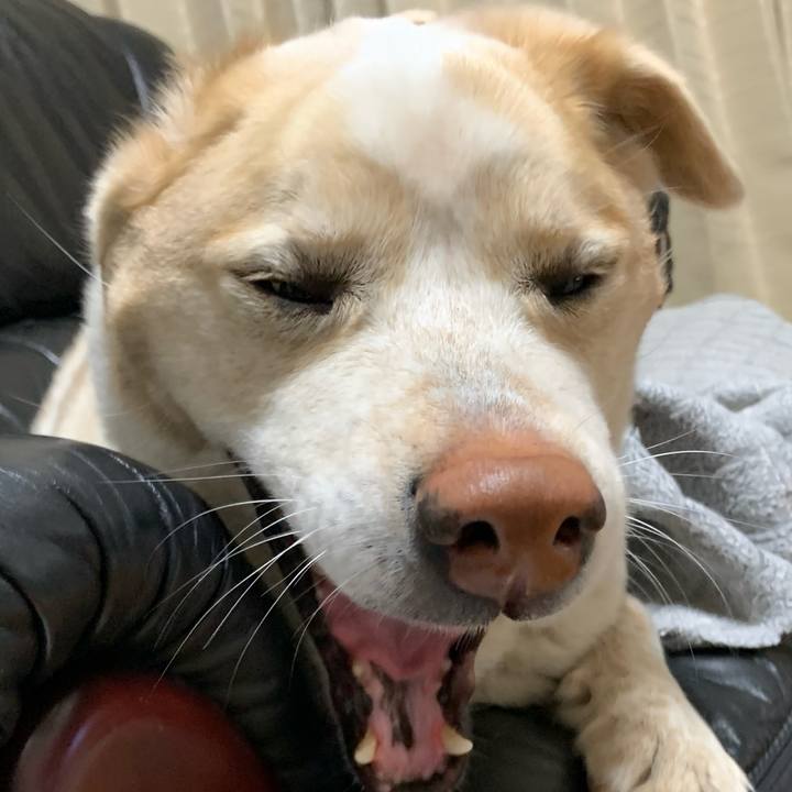 192190c1 7be6 44e7 b34a c854a8f0d45b 1583590868881