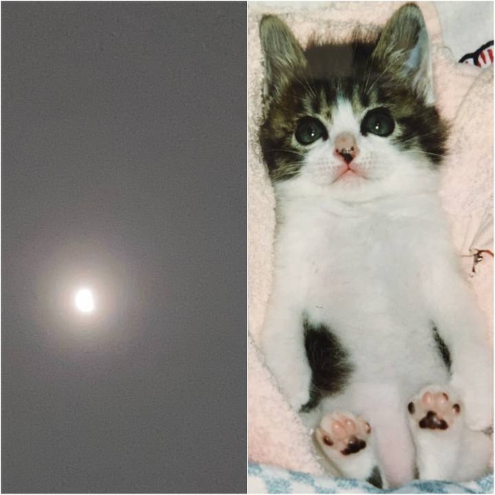 1921a2f5 100c 47d4 9c9a 8a37f41dfa51 1622033668068