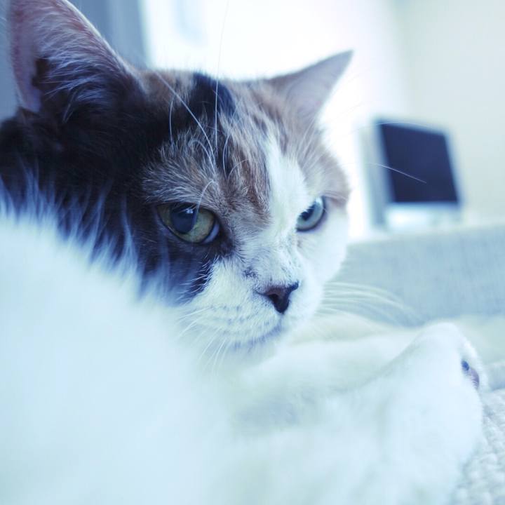 1921a947 8ba4 4633 9602 de6c8087c474 1513215677673