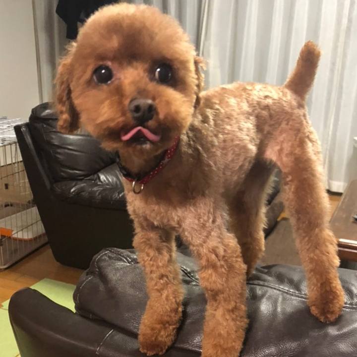 19221fcc f956 4d84 8349 98d86b72f532 1558529913913