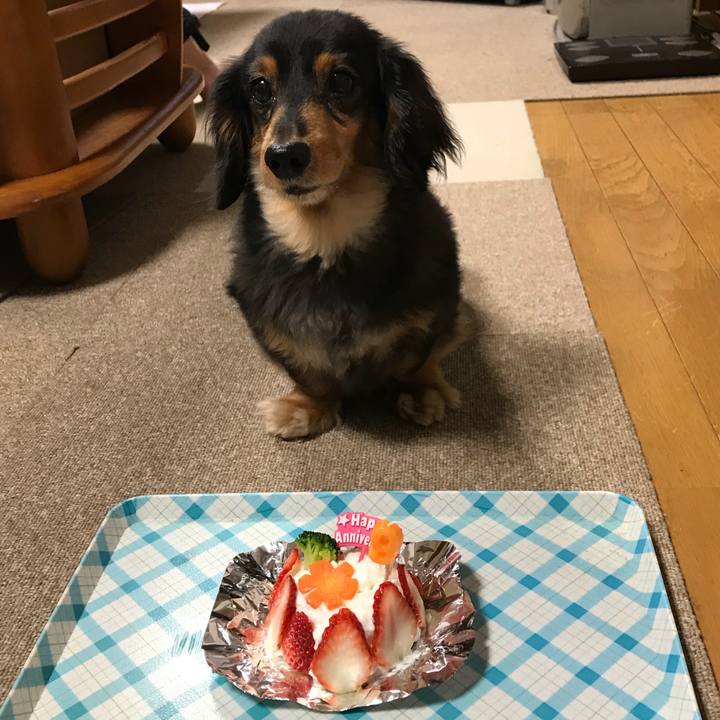 19223536 ad46 48ce b8ea c5cc6b5ef36a 1521767800289