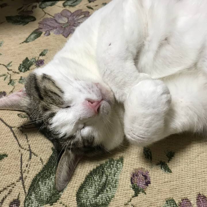 19223a3f 6f49 4be3 82c6 685170fc1f59 1534593582546