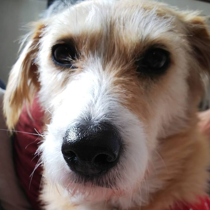 1922c566 3733 4449 bd87 0efb318d215a 1547769065701