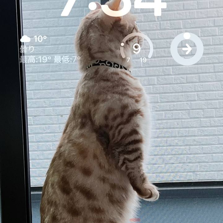 1922e309 0bd3 4028 828f 13c9d5476e2f 1680215864858