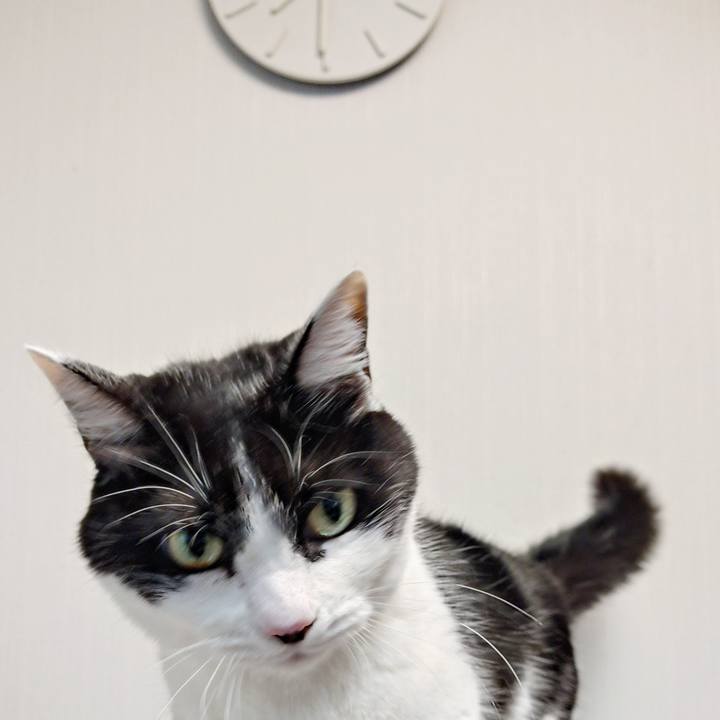 1922eee3 c525 4d42 ad53 87c5bf0f979a 1769815535383