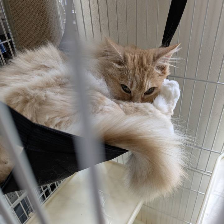 1922fbfe 2564 42dc 88e3 f6cb9311d452 1752284818124