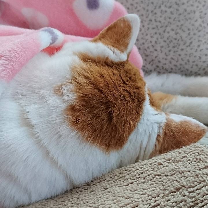 19232b93 8d8e 4267 871a ea818599c8c5 1648881480547