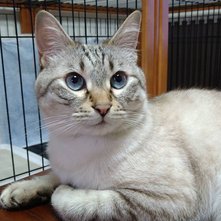 19233893 9372 4736 aaf8 635b27ecbda6 1656414781480