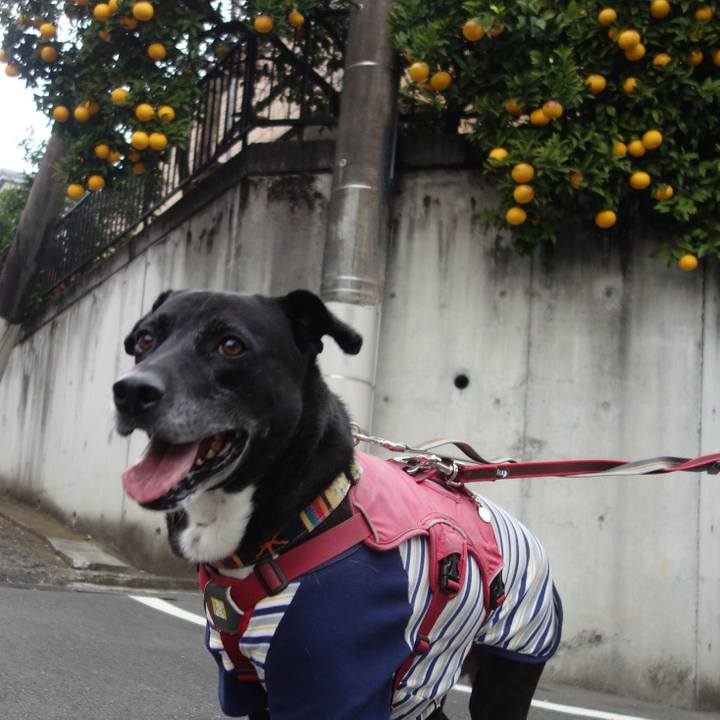 19234c44 af10 42ec 940d 371881faf67f 1702691527987